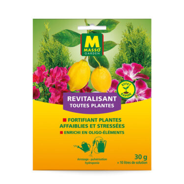 MASSO REVITALISANT UNIVERSEL 30G