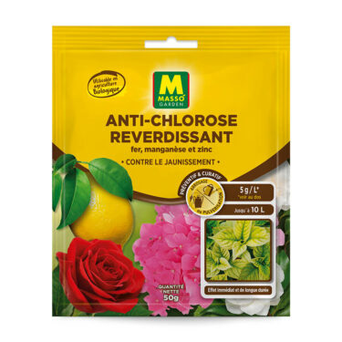MASSO ANTI-CHLOROSE MAGMA 50G UAB