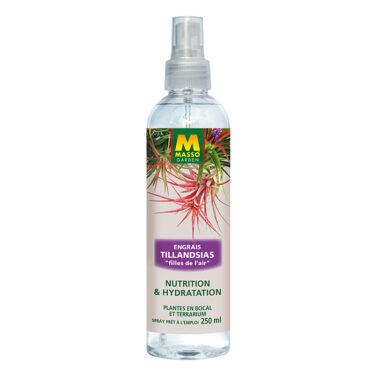 MASSO ENG FOLIAIRE TILLANDSIAS-FILLE DE L'AIR 250ML