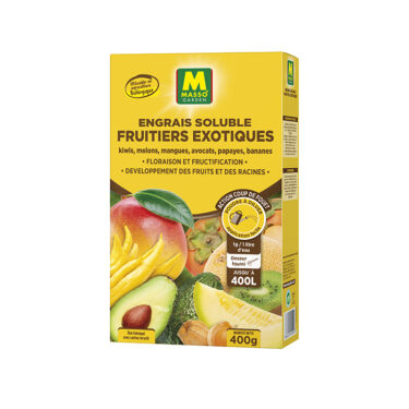 MASSO ENG SOLUBLE FRUITIERS EXOTIQUES 400G UAB