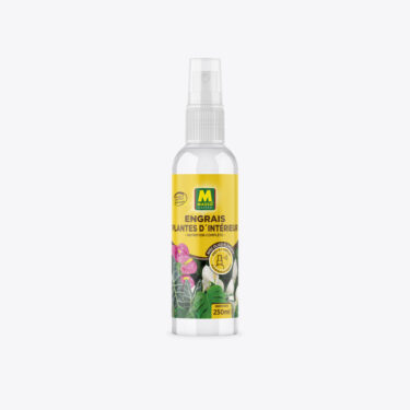 MASSO ENG FOLIAIRE PL.INTERIEUR 250ML UAB