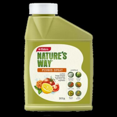 YATES FUNGUS SPRAY 200G - FONGICIDE WP