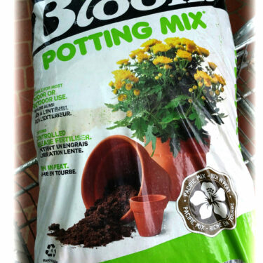 TERREAUX BLOOM POTTING MIX 50L