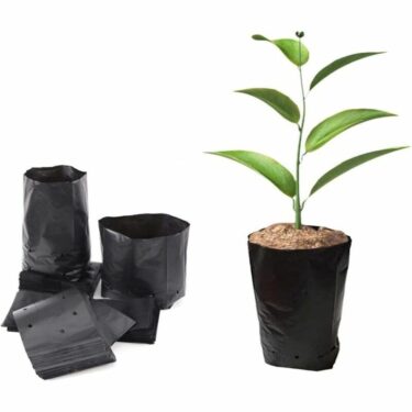 SAC HORTI NOIR 15+25x25 (PQTx50)