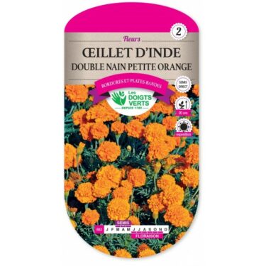 663 OEILLET INDE DOUBLE ORANGE