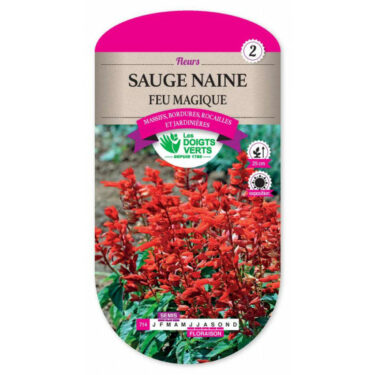 714 SAUGE NAINE FEU MAGIQUE