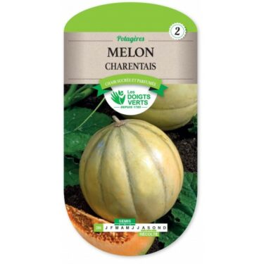 286 MELON CHARENTAIS