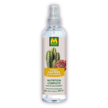 MASSO ENG FOLIAIRE CACTEES & SUCCULENTES 250ML