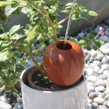 OLLAS A PLANTER NATURE L