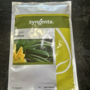 SGS COURGETTE ZEFIROS F1 TRAITÉ 1KS