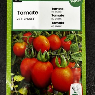 443 TOMATE RIO GRANDE