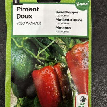 973 PIMENT DOUX YOLO WONDER