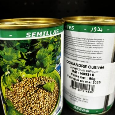 453 CORIANDRE CULTIVEE BOITE 50G