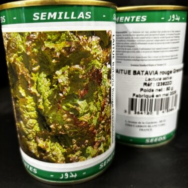236 LAITUE BATAVIA ROUGE GRENOBLOISE BOITE 50G