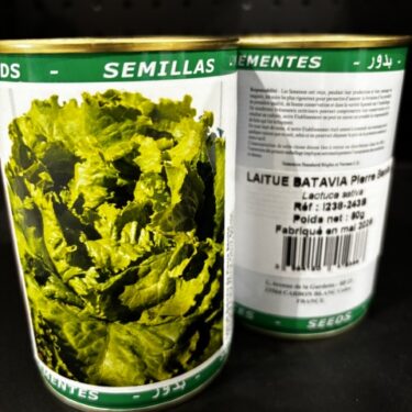 238 LAITUE BATAVIA PIERRE BENITE BOITE 50G