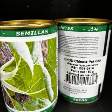 388 CHOU CHINOIS PAK CHOI BOITE 50G
