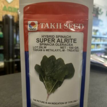 TAKII EPINARD SUPER ALRITE HYB.100G (52KY) TRAITÉE