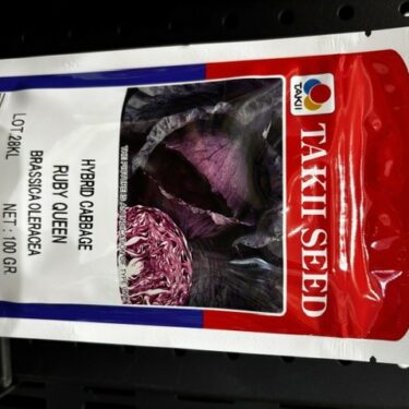 TAKII CHOU RUBY QUEEN HYB.100GR IR: Xcc