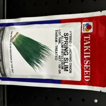TAKII OIGNON VERT SPRING SLIM 100G