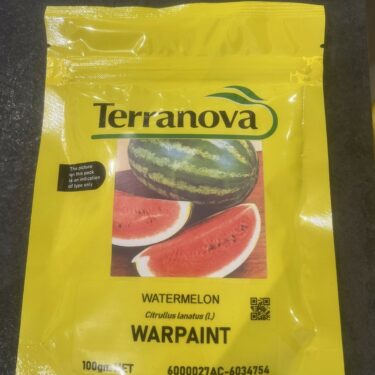 TAA PASTEQUE WARPAINT 100G (27AC)