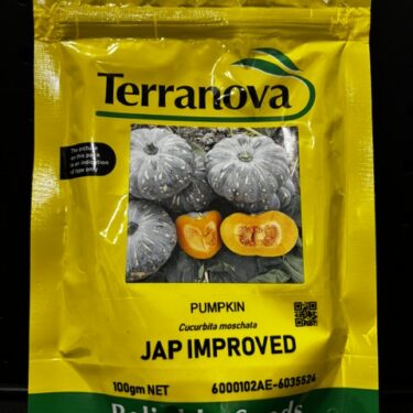 TAA CITROUILLE JAP IMPROVED 100G - 6000102AD