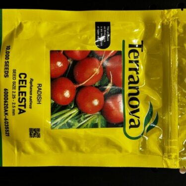 TAA RADIS CELESTA 10M SEEDS (620AK)