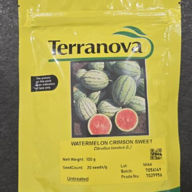TNZ PASTEQUE CRIMSON SWEET 100G (1616A)