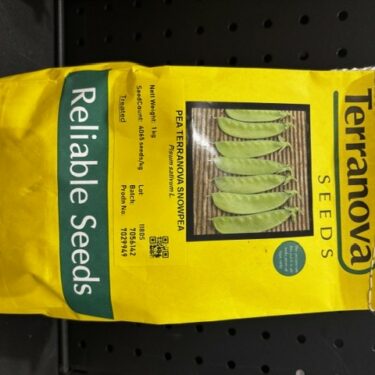 TNZ POIS TERRANOVA SNOWPEA 1KG (1180S)