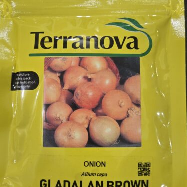 TNZ OIGNON GLADALAN BROWN 100G (752AZ)